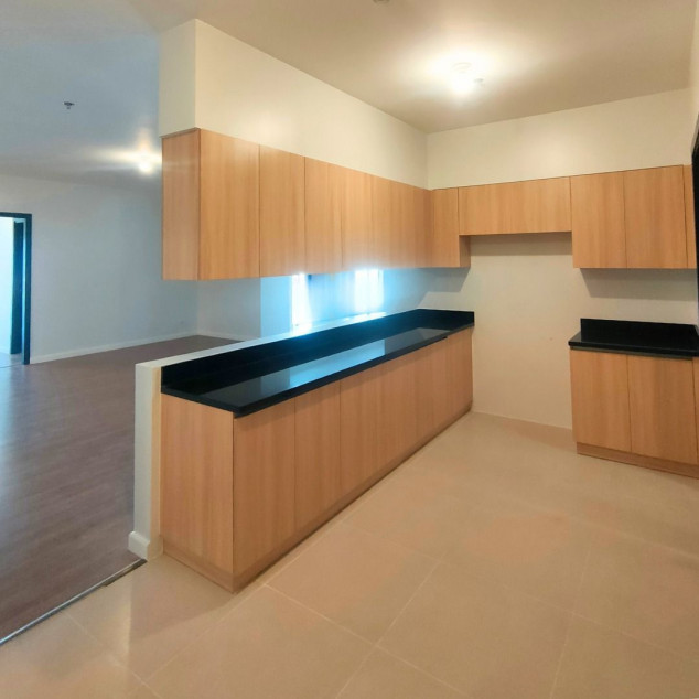 Penthouse in Park Triangle Residences Corner Unit with Balcony at 232 SQM Floor Area For Sale