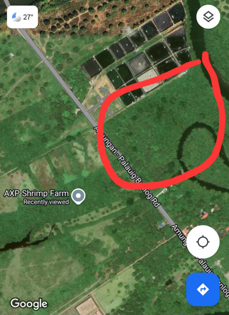 More Or Less 5.6 Hectares, Agricultural, Residential In Iba, Zambales