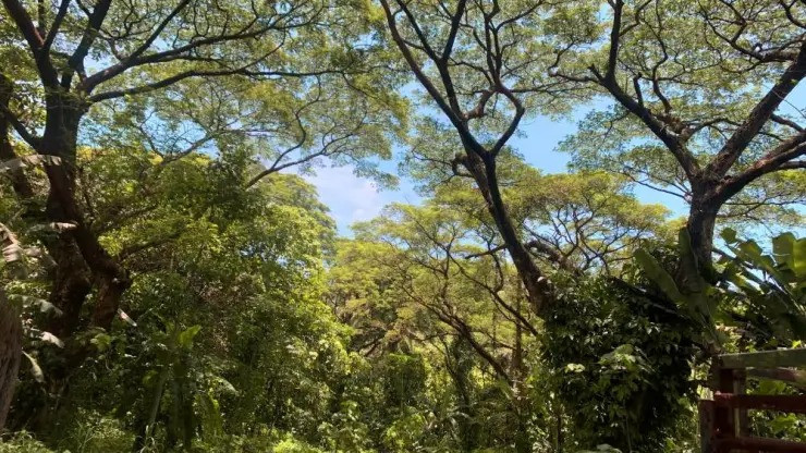 Lot For Sale In Rockwell Bulacan