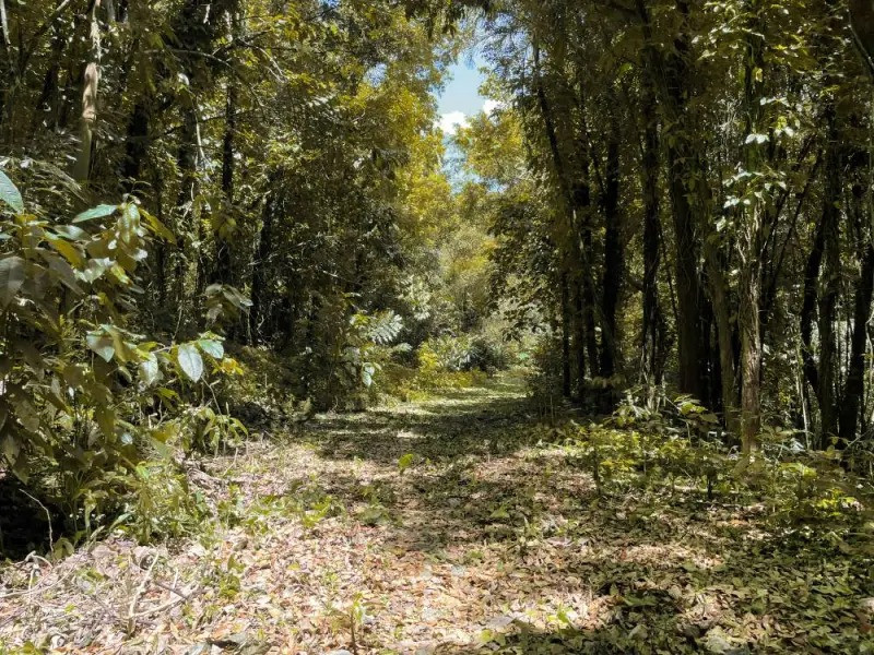 Lot For Sale In Rockwell Bulacan