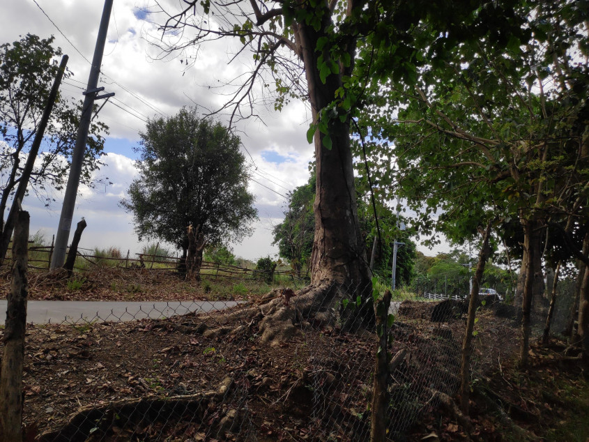 Vacant Lot For Sale In San Jose Del Monte, Bulacan - Prime Location For Development!