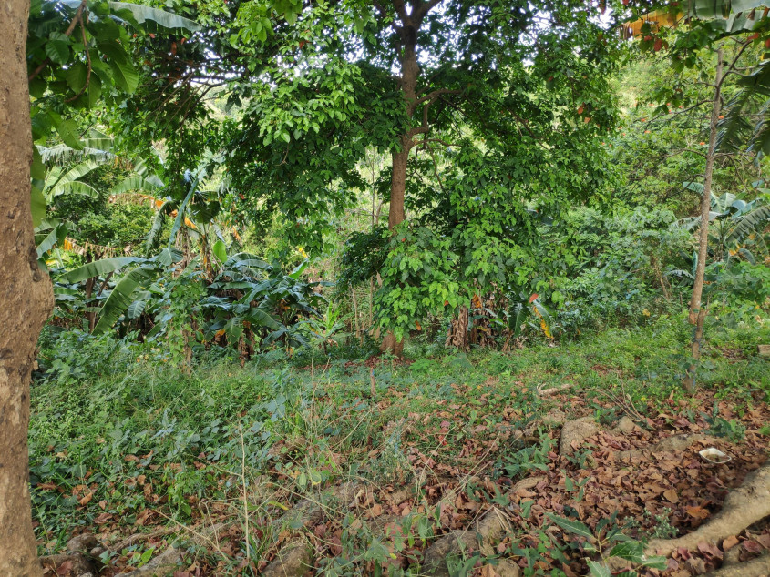 Vacant Lot For Sale In San Jose Del Monte, Bulacan - Prime Location For Development!