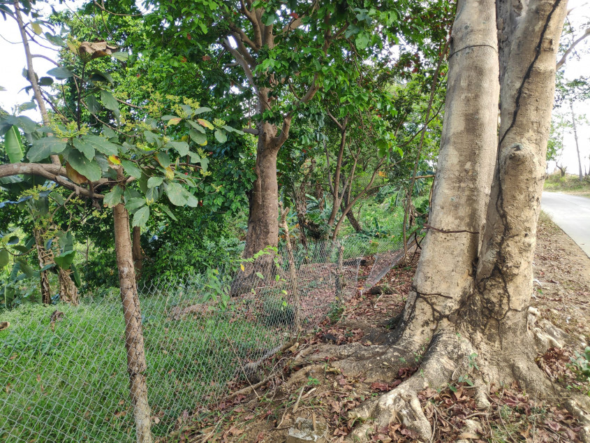 Vacant Lot For Sale In San Jose Del Monte, Bulacan - Prime Location For Development!