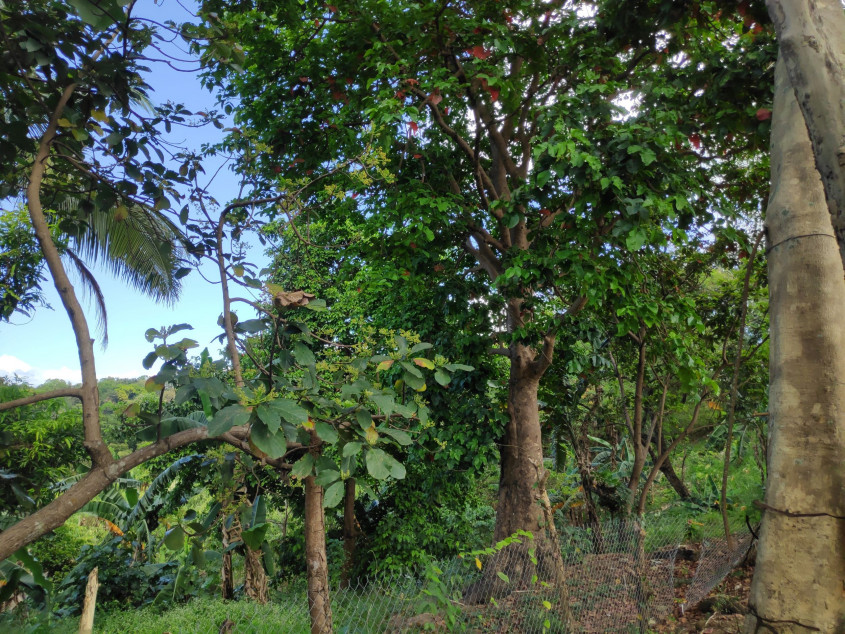 Vacant Lot For Sale In San Jose Del Monte, Bulacan - Prime Location For Development!