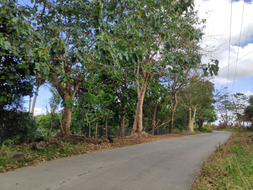 Vacant Lot For Sale In San Jose Del Monte, Bulacan - Prime Location For Development!