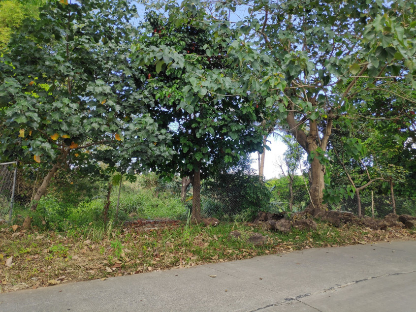 Vacant Lot For Sale In San Jose Del Monte, Bulacan - Prime Location For Development!