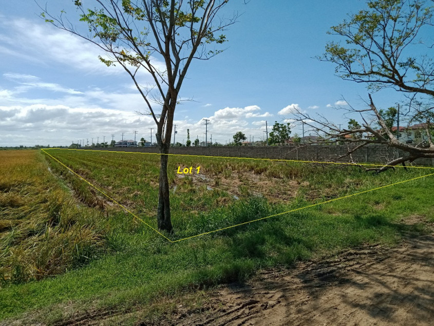 Expansive 10,358 sqm Agricultural Lot In Cabanatuan, Nueva Ecija