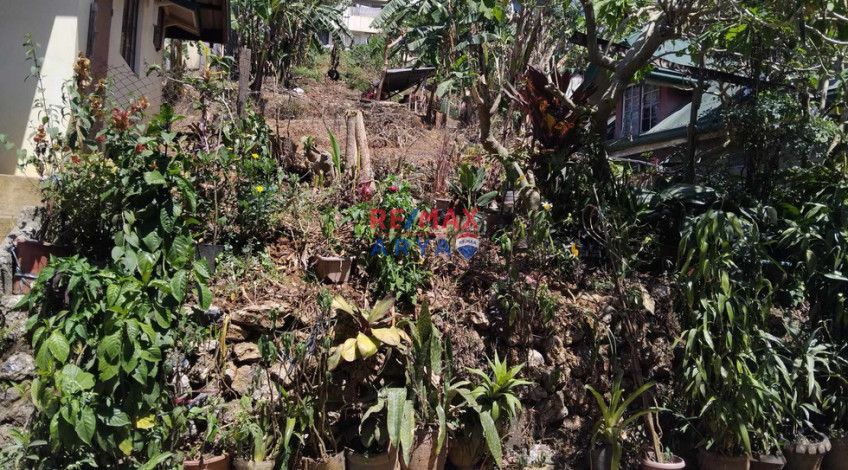 911 SQM Residential Lot For Sale In Asin Rd, Baguio City