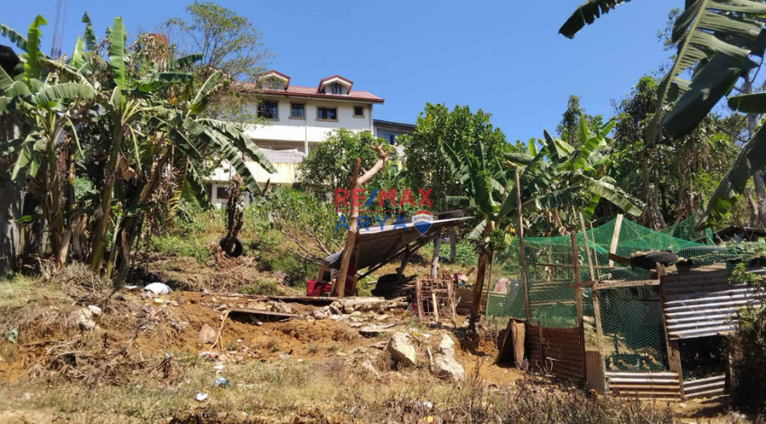 911 SQM Residential Lot For Sale In Asin Rd, Baguio City