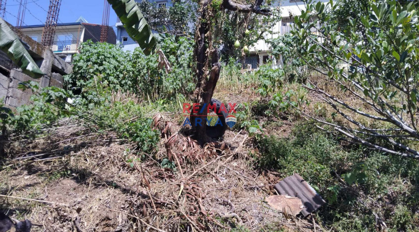 911 SQM Residential Lot For Sale In Asin Rd, Baguio City