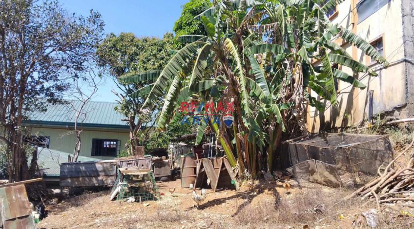 911 SQM Residential Lot For Sale In Asin Rd, Baguio City