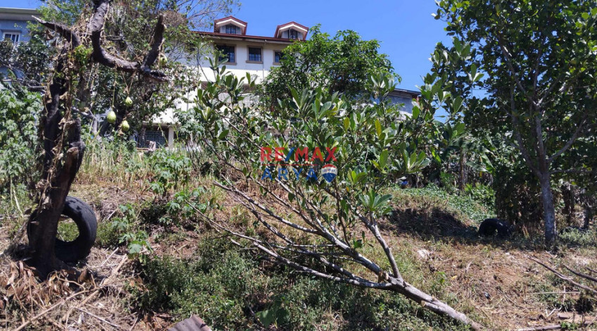 911 SQM Residential Lot For Sale In Asin Rd, Baguio City