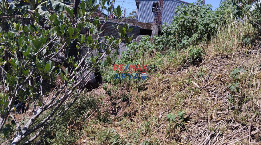 911 SQM Residential Lot For Sale In Asin Rd, Baguio City