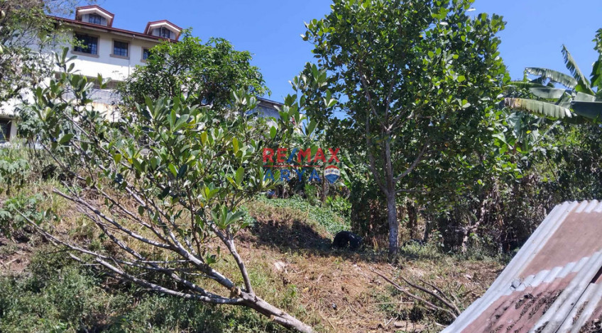 911 SQM Residential Lot For Sale In Asin Rd, Baguio City