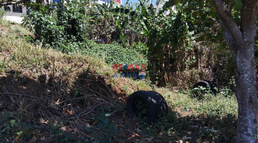 911 SQM Residential Lot For Sale In Asin Rd, Baguio City