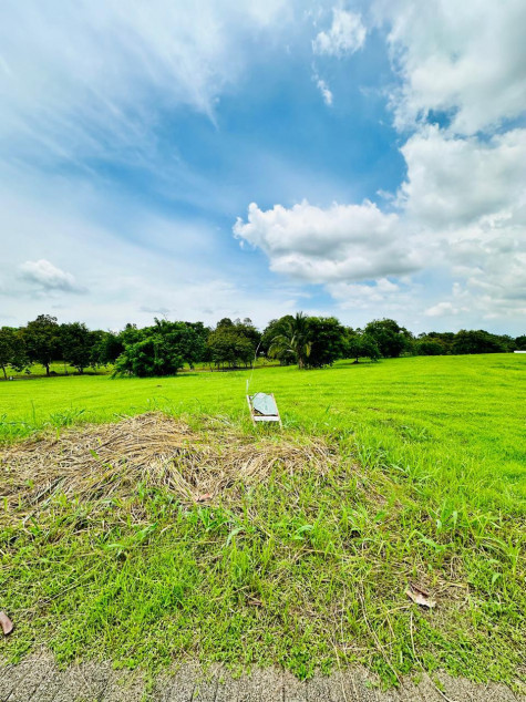 For Sale: Beautiful Residential Lot At Santierra, Nuvali