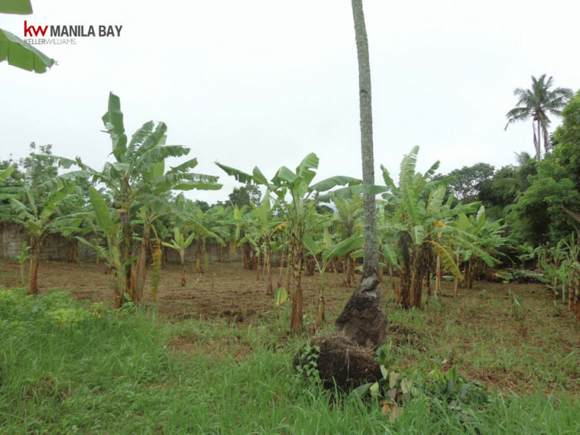 Farm Resort in Alfonso Cavite