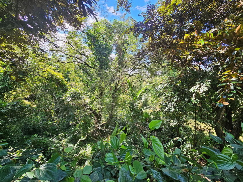 For Sale: 18,099 sqm Lot In San Jose del Monte, Bulacan