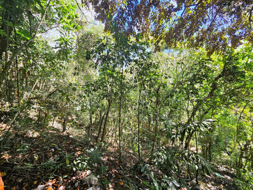 For Sale: 18,099 sqm Lot In San Jose del Monte, Bulacan