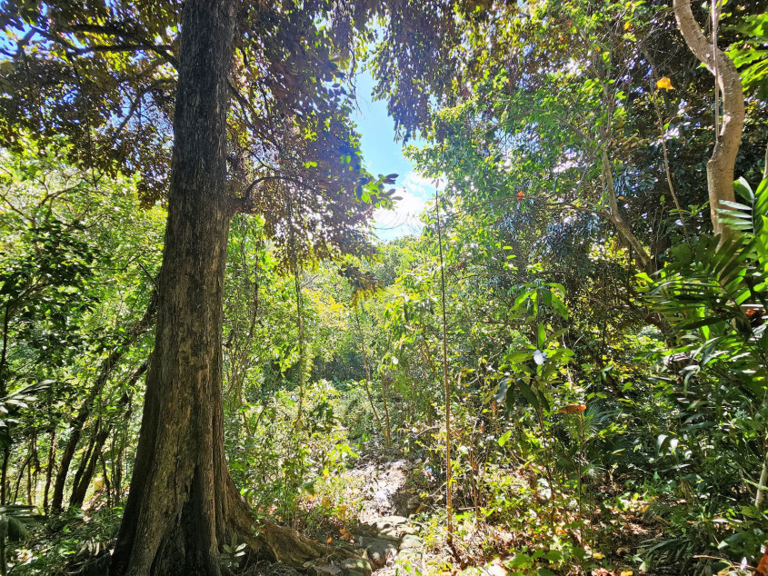 For Sale: 18,099 sqm Lot In San Jose del Monte, Bulacan