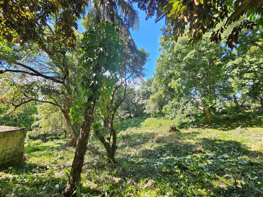 For Sale: 18,099 sqm Lot In San Jose del Monte, Bulacan