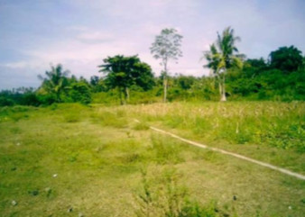 Beachfront Lot For Sale In Camotes Island, Cebu