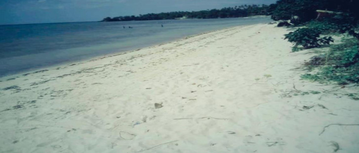 Beachfront Lot For Sale In Camotes Island, Cebu