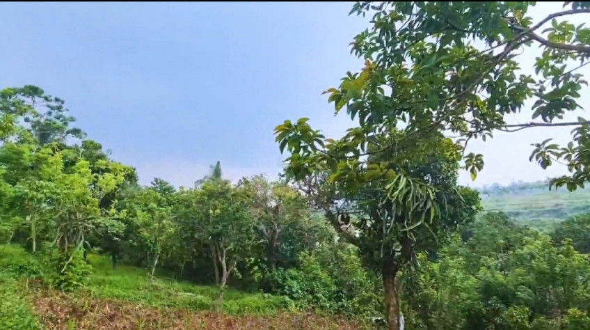 Farm Lot For Sale In Alfonso, Cavite