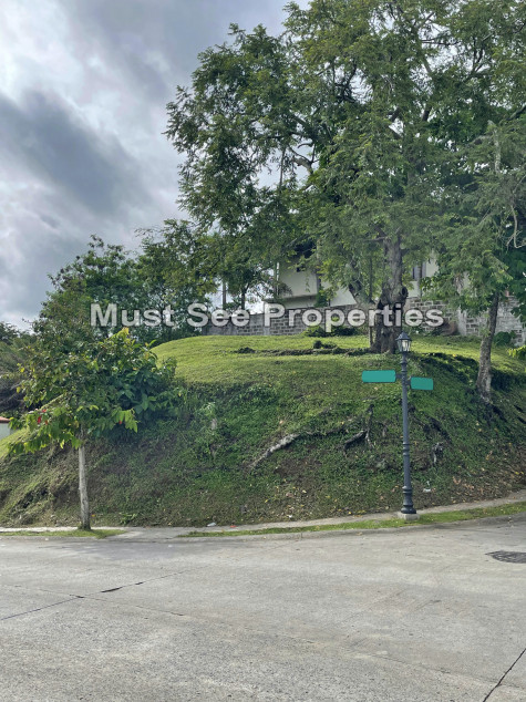 Vacant Lot For Sale in Ayala Westgrove Heights, Silang Cavite