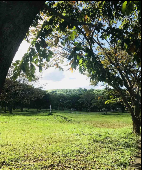 162 sqm Residential Lot For Sale In Palma Real, Biñan, Laguna