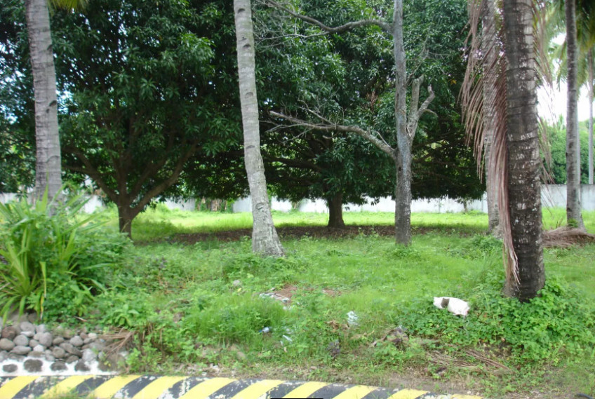 Prime Corner Lot In Gated Apo Vista Beach Park For Sale In Zamboanguita