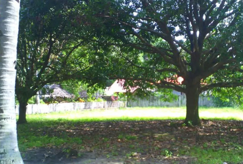 Prime Corner Lot In Gated Apo Vista Beach Park For Sale In Zamboanguita