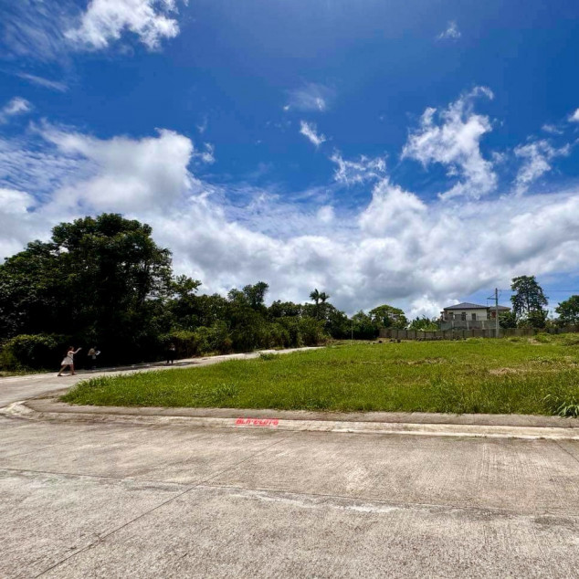 Lot for Sale in Tagaytay Tropical Greens