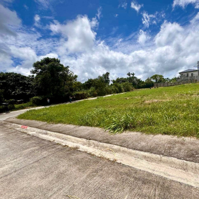 Lot for Sale in Tagaytay Tropical Greens