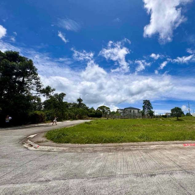 Lot for Sale in Tagaytay Tropical Greens