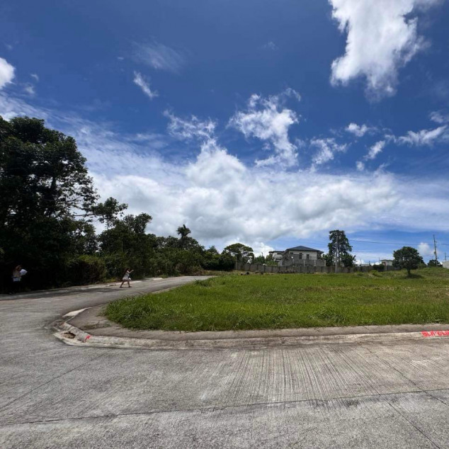 Lot for Sale in Tagaytay Tropical Greens