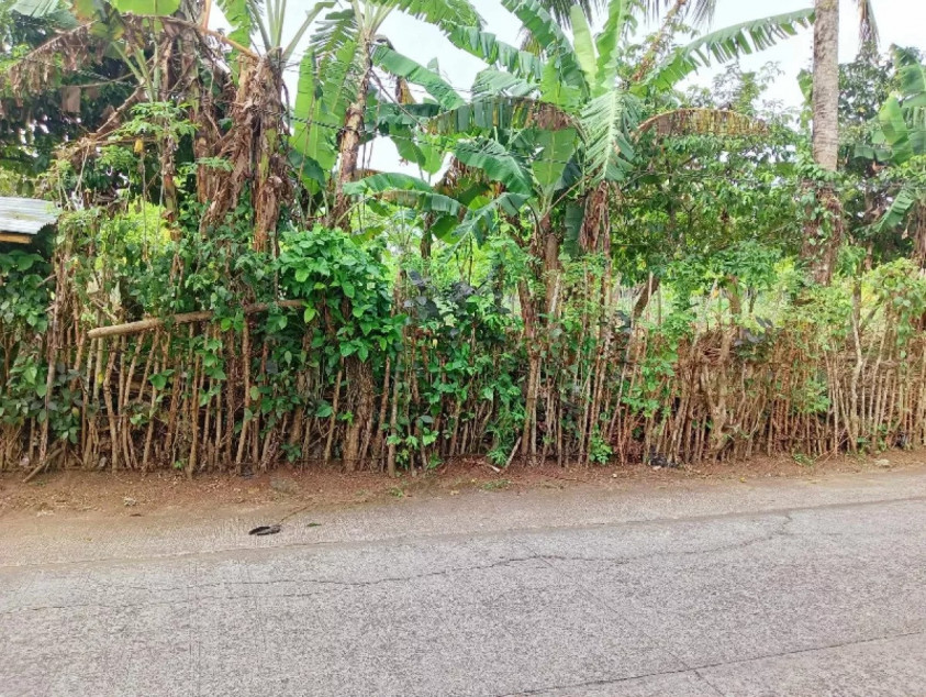 12,000 sq.m. Agricultural Lot For Sale in Malabag, Silang, Cavite