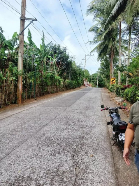 12,000 sq.m. Agricultural Lot For Sale in Malabag, Silang, Cavite