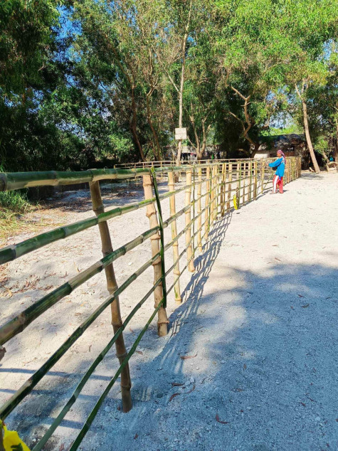 Budget Beach Lot in Liwliwa (Liwa), San Felipe, Zambales