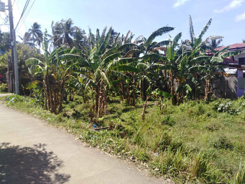 Lot For Sale In Villa Adelina Laguna