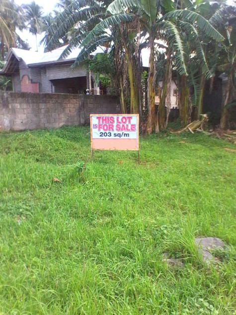 Lot For Sale In Villa Adelina Laguna