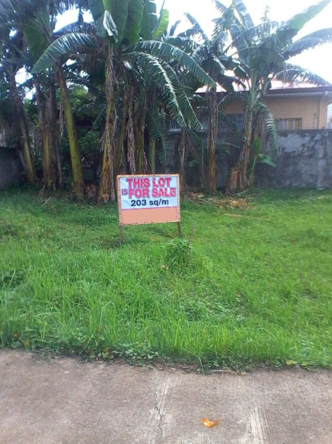 Lot For Sale In Villa Adelina Laguna