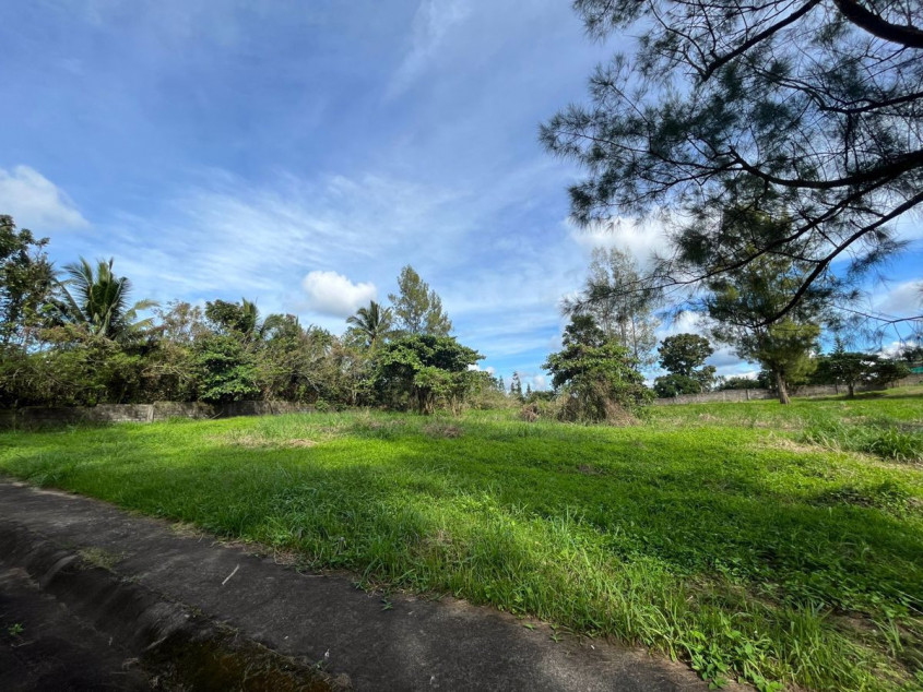 Lot for Sale in Buena Vista Hills III