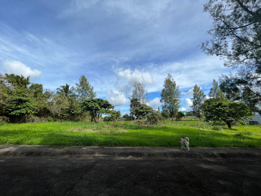 Lot for Sale in Buena Vista Hills III