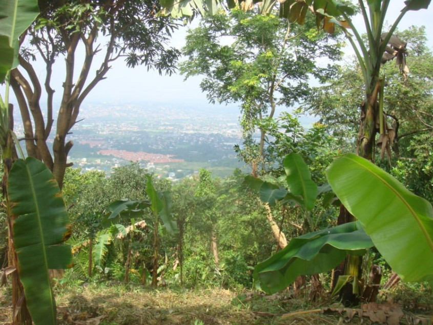 3.49 Hectare Farm For Sale In San Mateo, Rizal