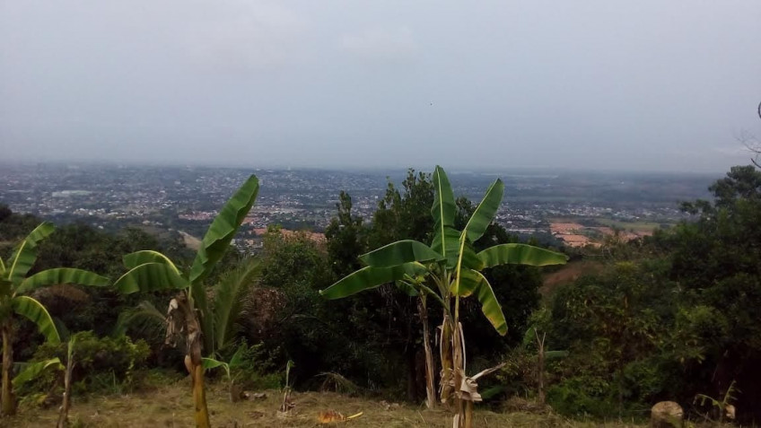 3.49 Hectare Farm For Sale In San Mateo, Rizal