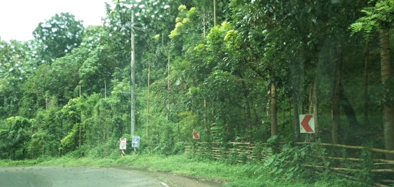 3.49 Hectare Farm For Sale In San Mateo, Rizal