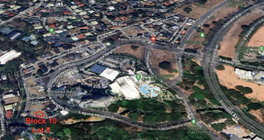 Lot for Sale in Palms Pointe Alabang Filinvest Muntinlupa