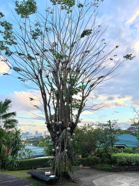 For Sale: House And Lot In Blue Ridge A Subdivision, Quezon City