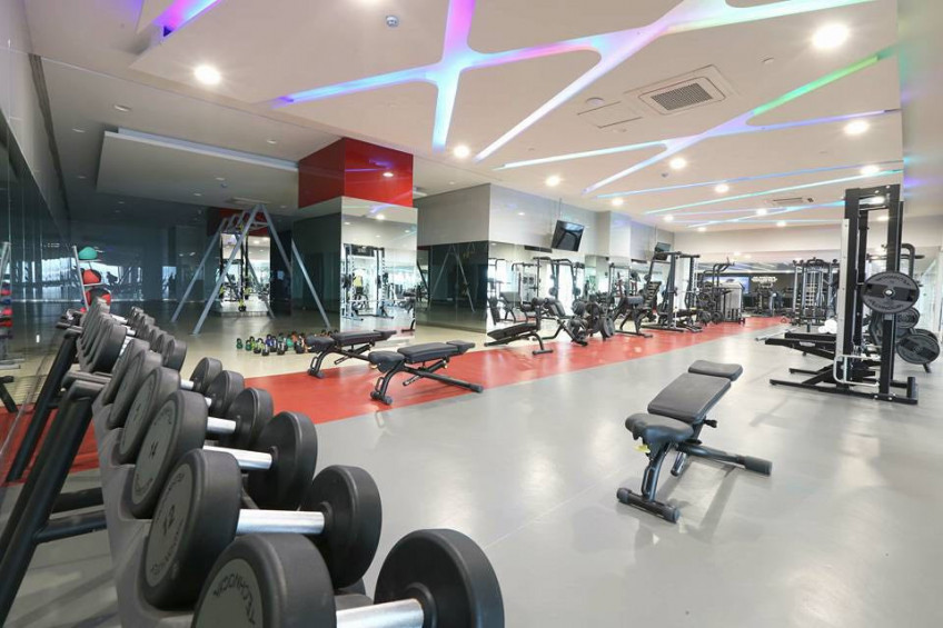 Quezon City Gyms In The Area Near Me Pet Friendly Condominium In